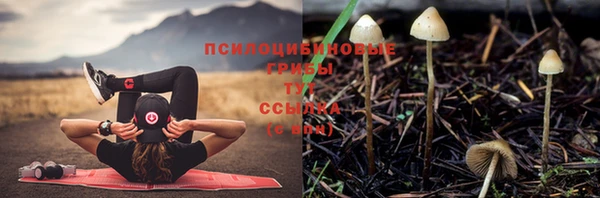 ALPHA-PVP Зарайск