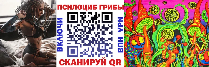 сайты даркнета какой сайт  Рыльск  Псилоцибиновые грибы Psilocybine cubensis  блэк спрут как зайти 